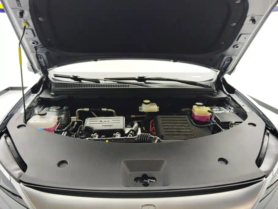 BYD Pro New Energy — миниатюра 10