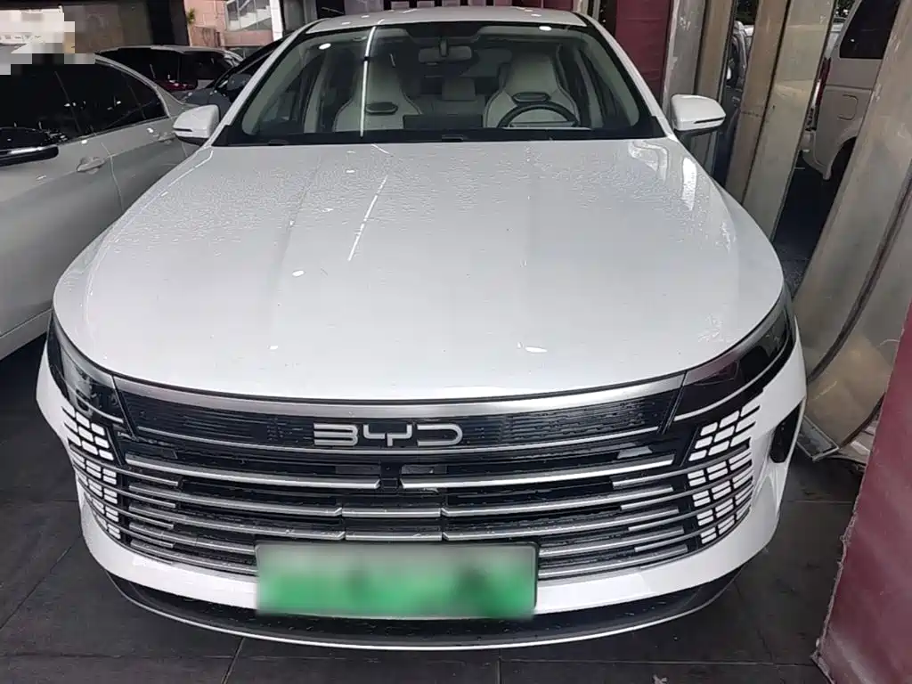 BYD Destroyer 05 2024 DM-i 55KM Luxury