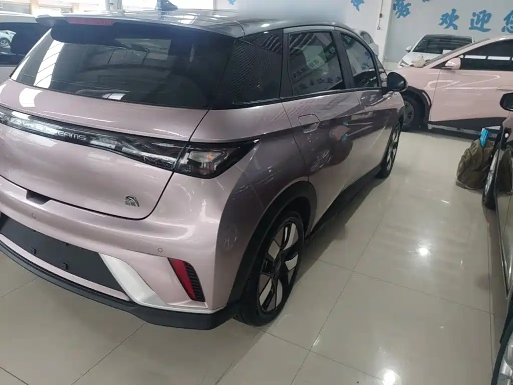 BYD Dolphin — миниатюра 8