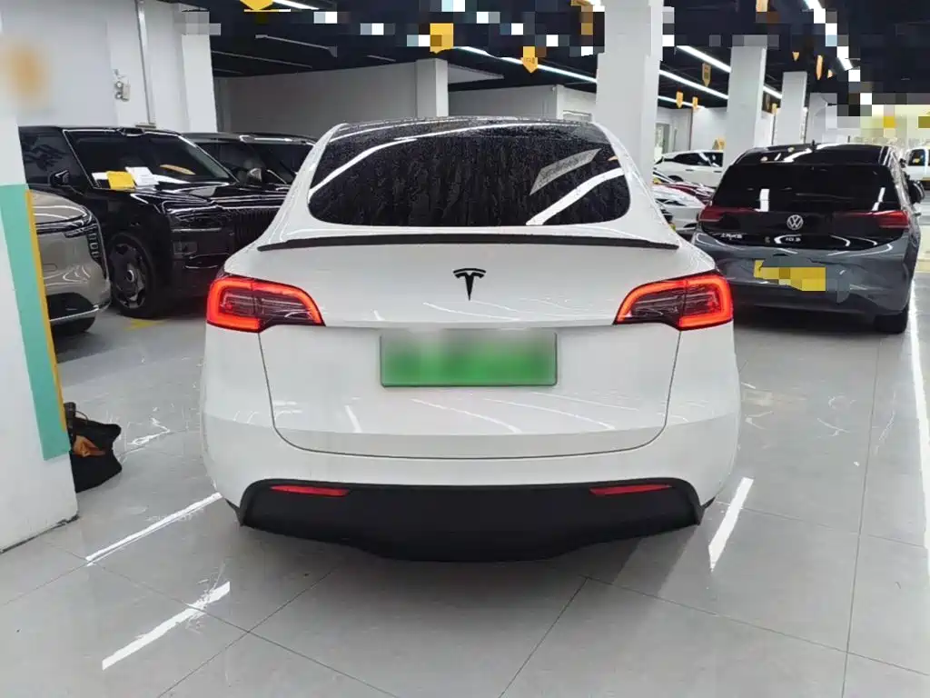 Tesla Model Y — миниатюра 6