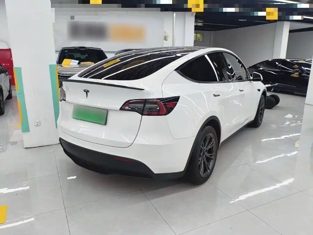 Tesla Model Y — миниатюра 7