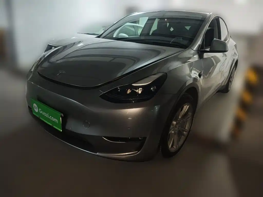 Tesla Model Y — миниатюра 2