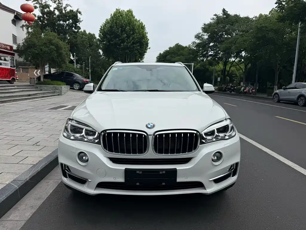 BMW X5 (Import) — миниатюра 2