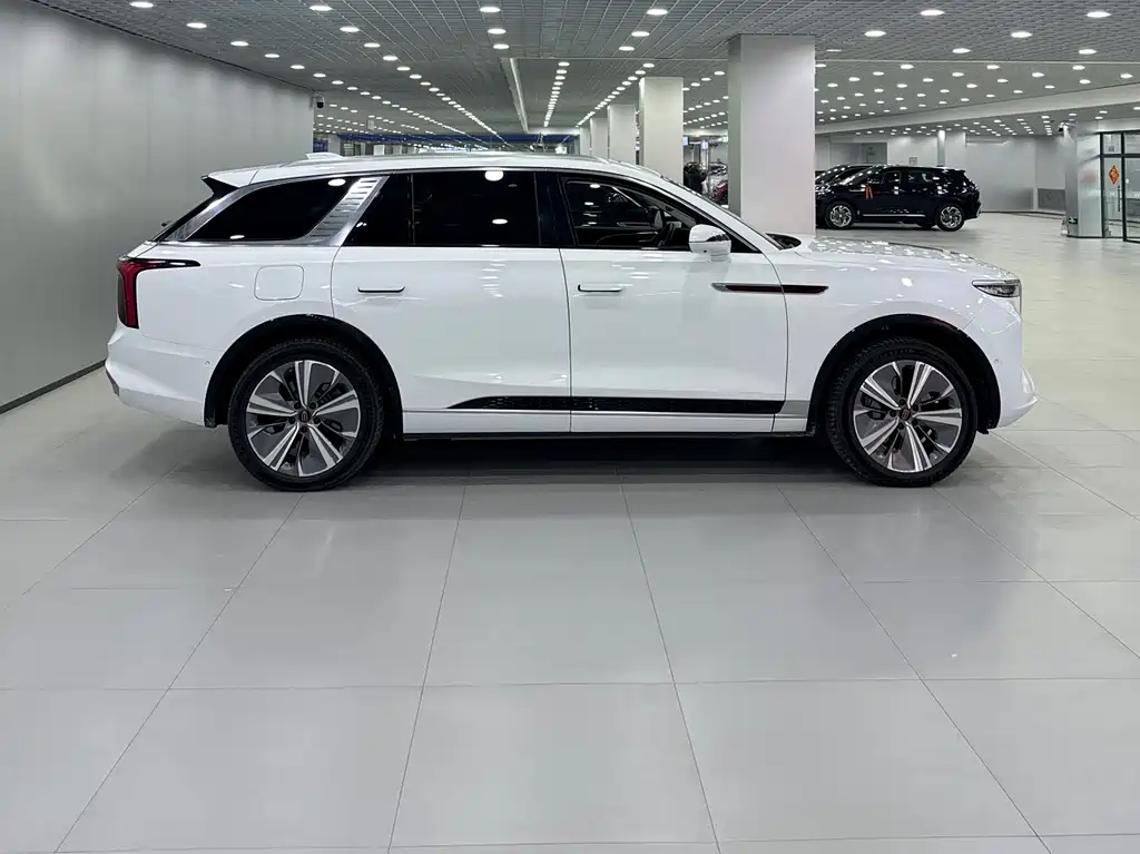 Hongqi HONGQI E HS9