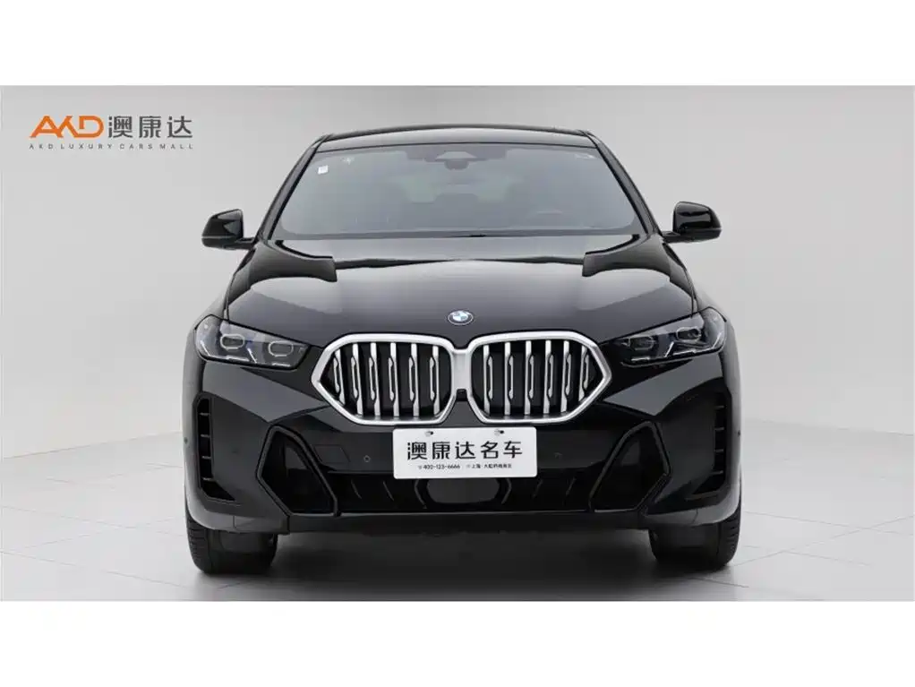 BMW X6 — миниатюра 2
