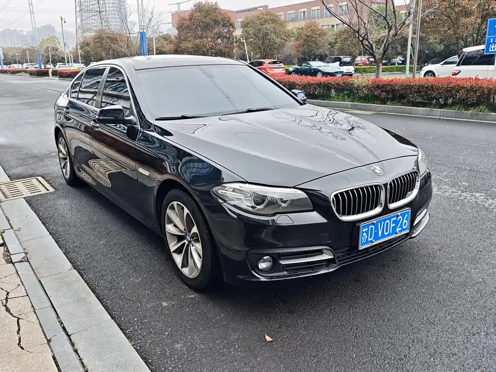 BMW 5 Series 5 2017 528Li Lead