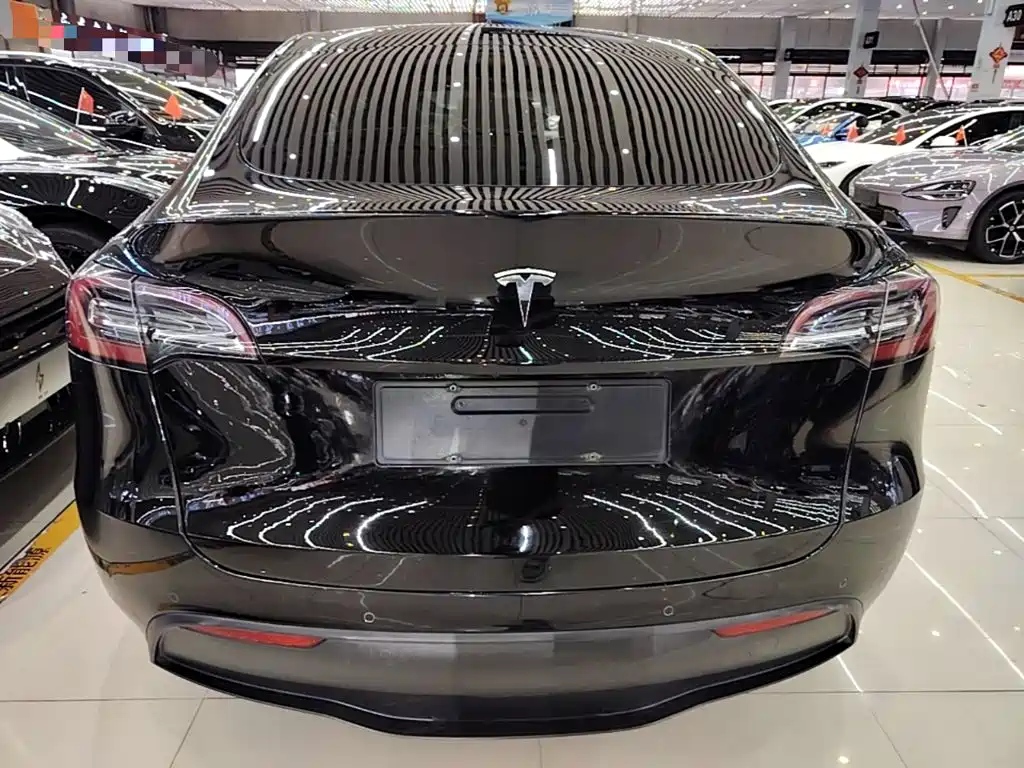 Tesla Model Y — миниатюра 6