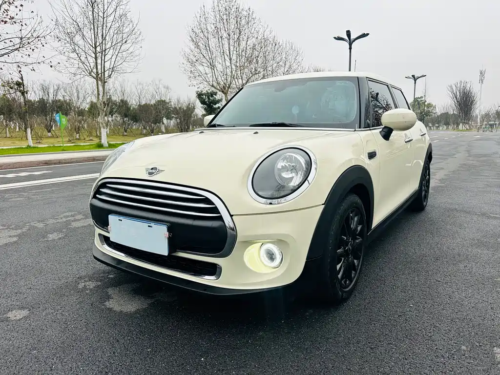 Mini Mini 2021