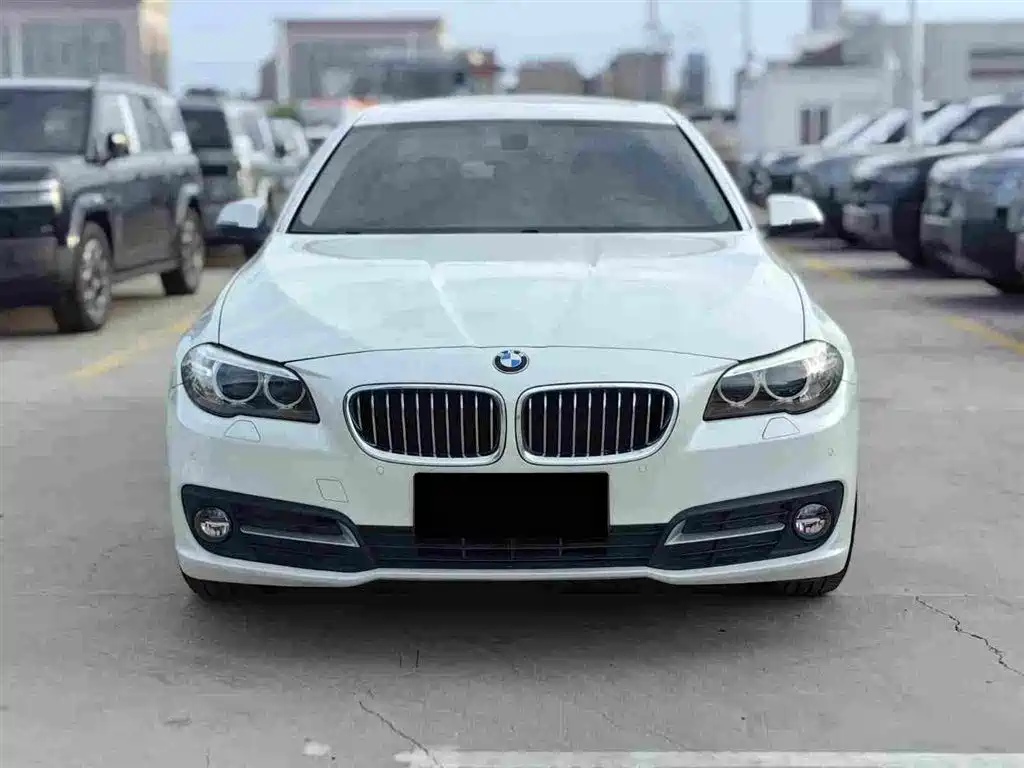 BMW 5 Series (Import) — миниатюра 2