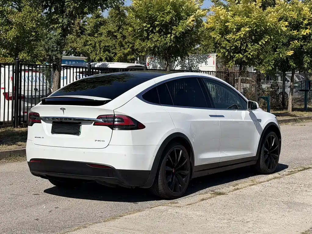 Tesla Model X — миниатюра 4