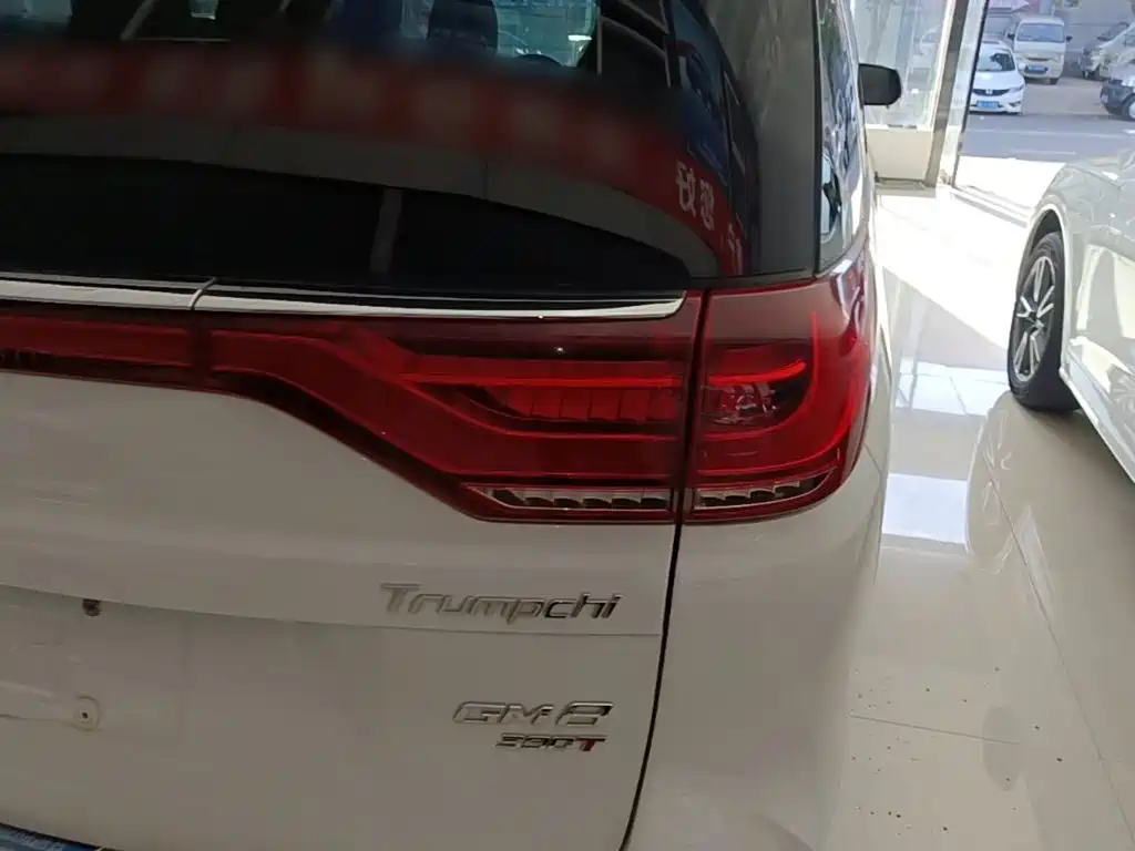 GAC Motor Trumpchi M8 — миниатюра 8