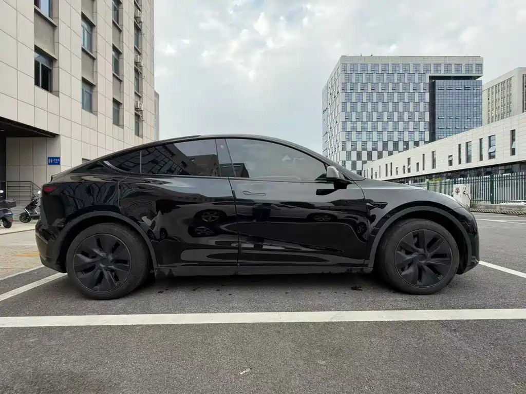 Tesla Model Y — миниатюра 7