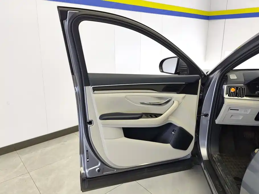 BYD PLUS New Energy — миниатюра 7