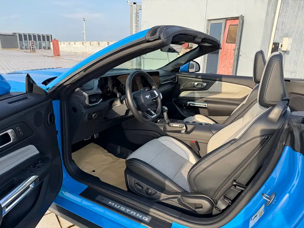 Ford Mustang — миниатюра 17