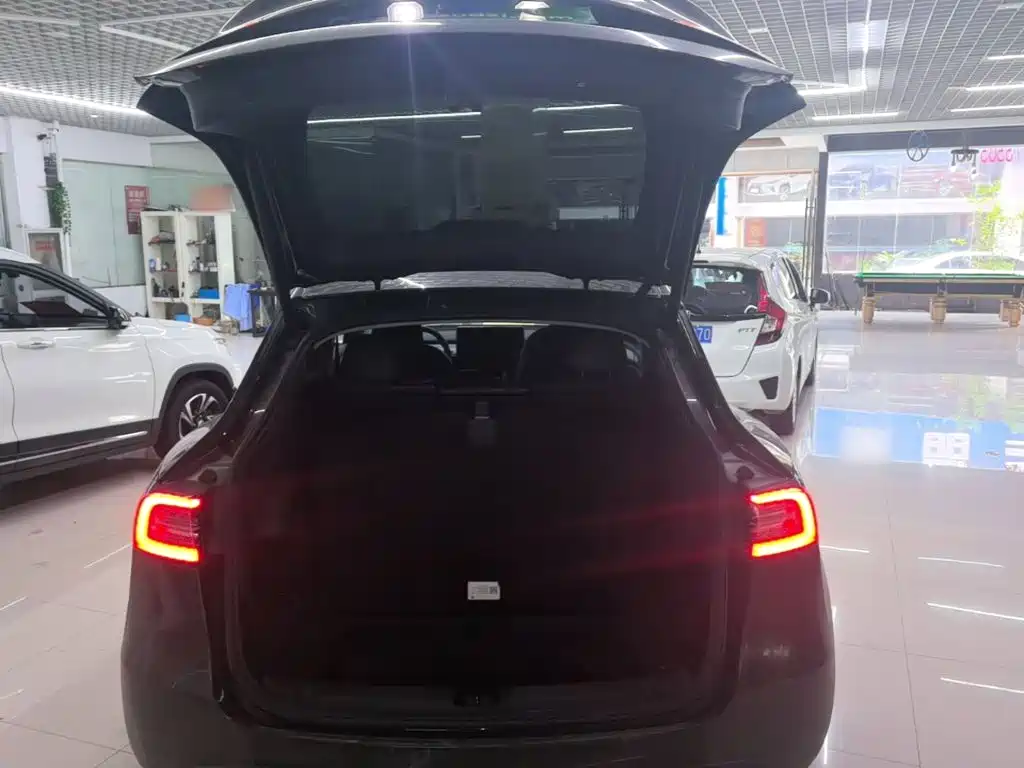 Tesla Model Y — миниатюра 19