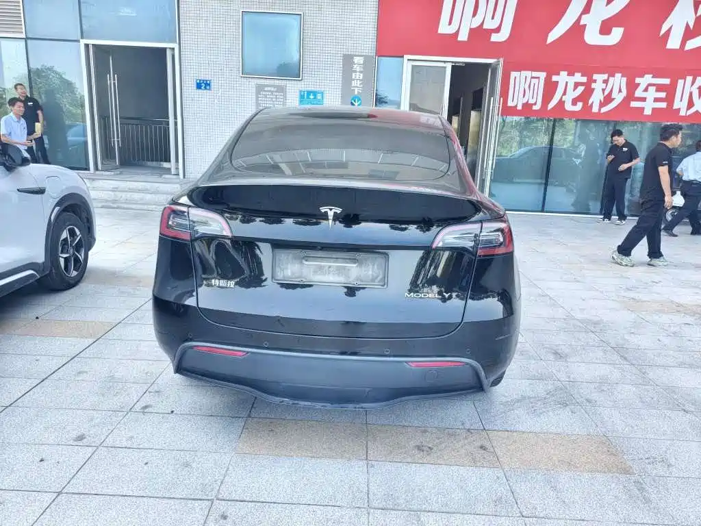 Tesla Model Y — миниатюра 7