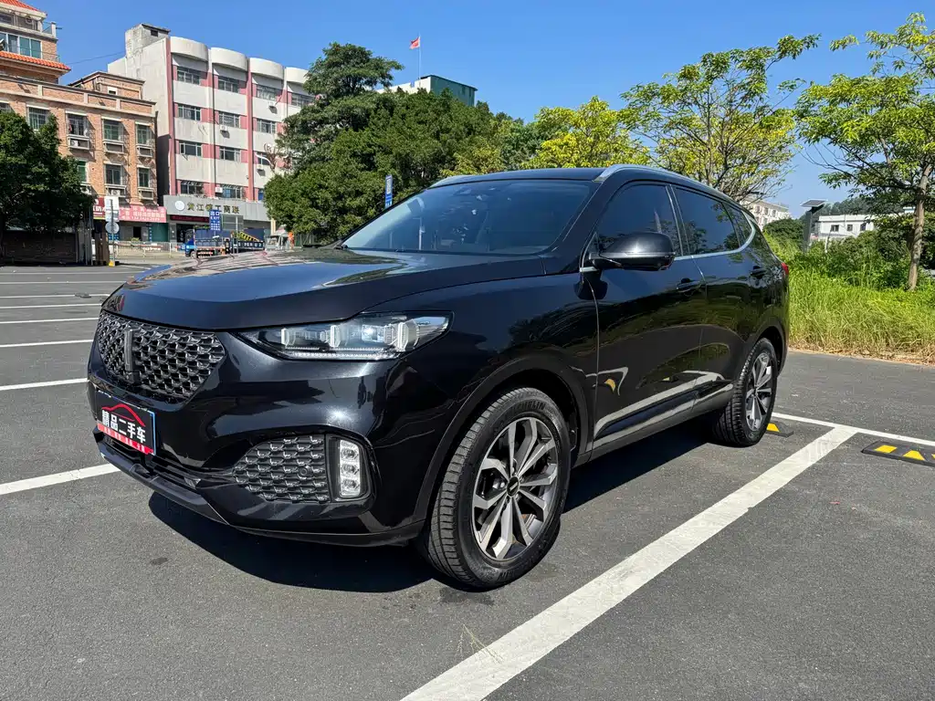 Wey Wey VV6
