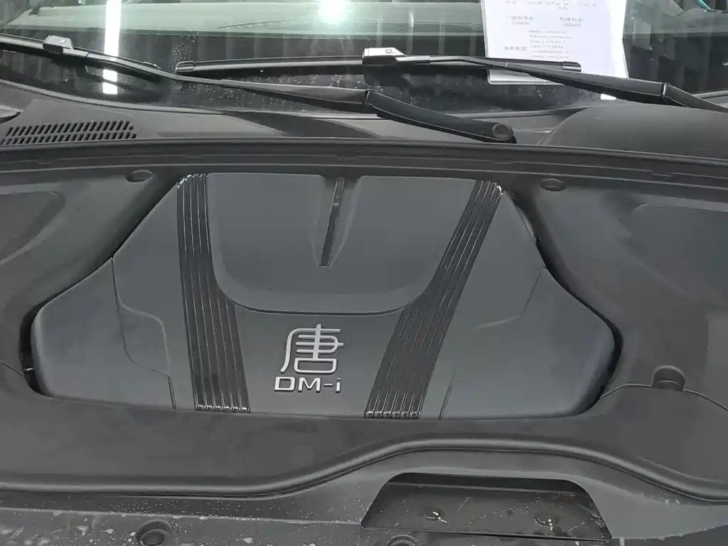 BYD Tang New Energy — миниатюра 13