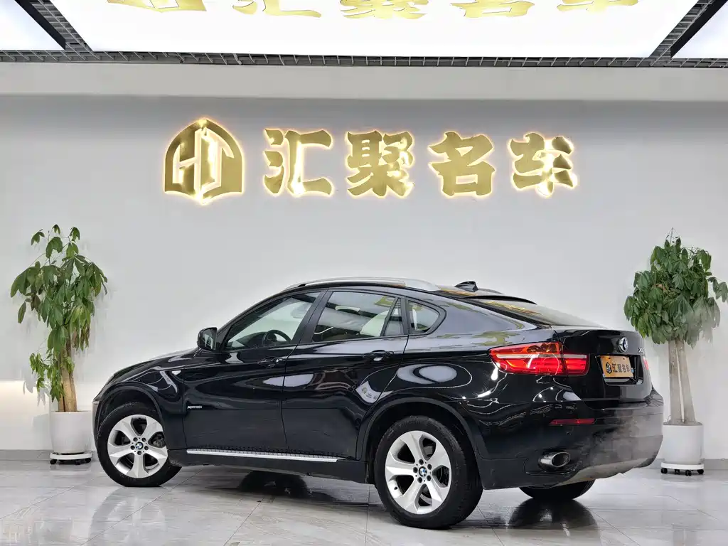 BMW X6 xDrive35i Sport Type, фото 7