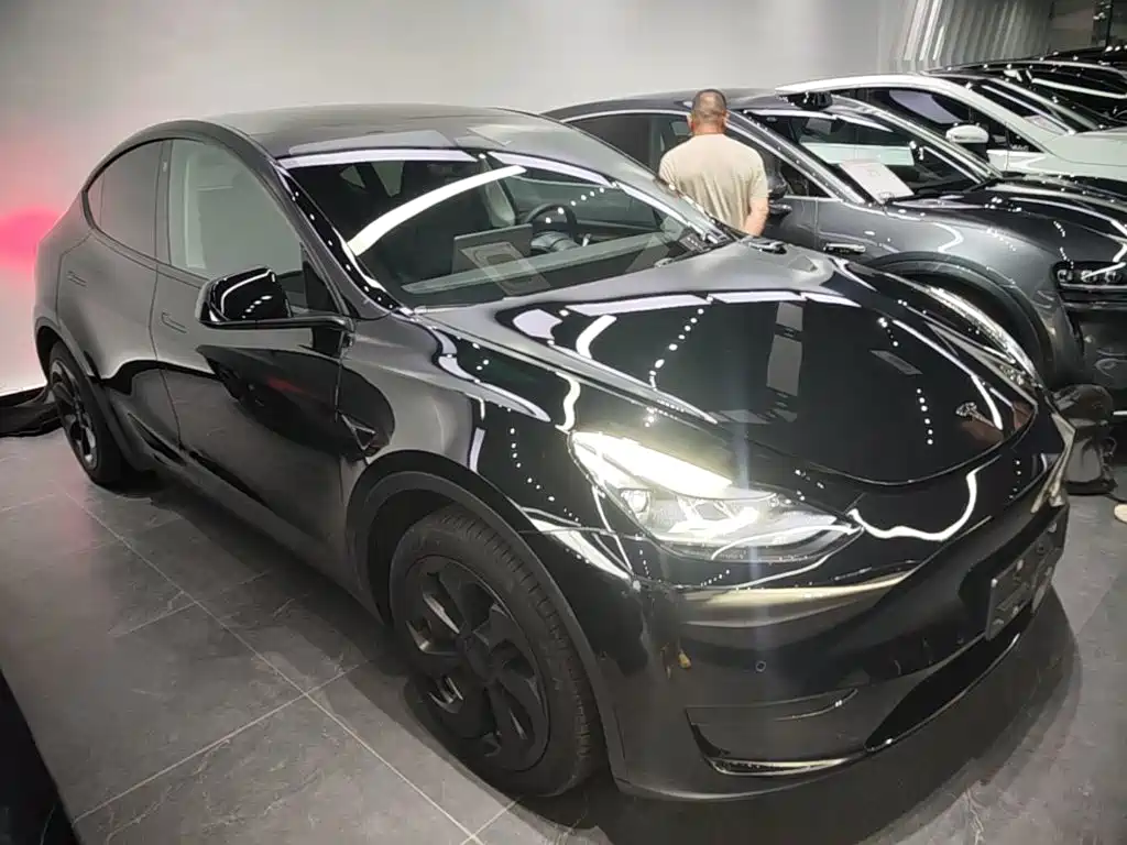 Tesla Model Y — миниатюра 4