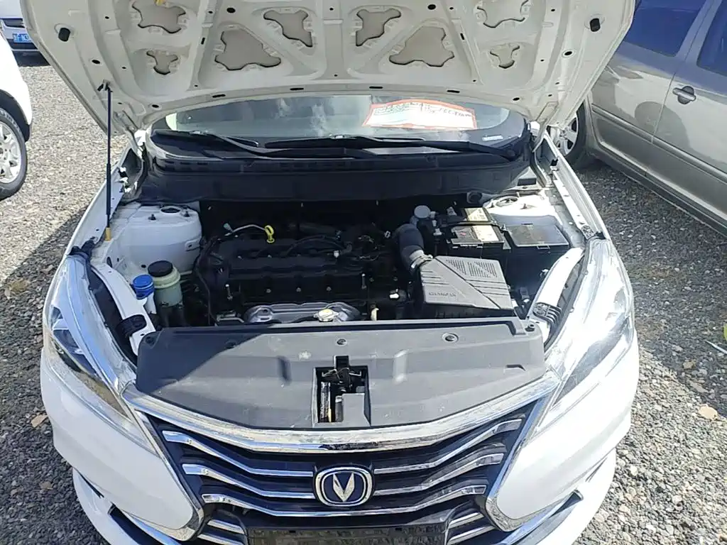 Changan Eado DT — миниатюра 20