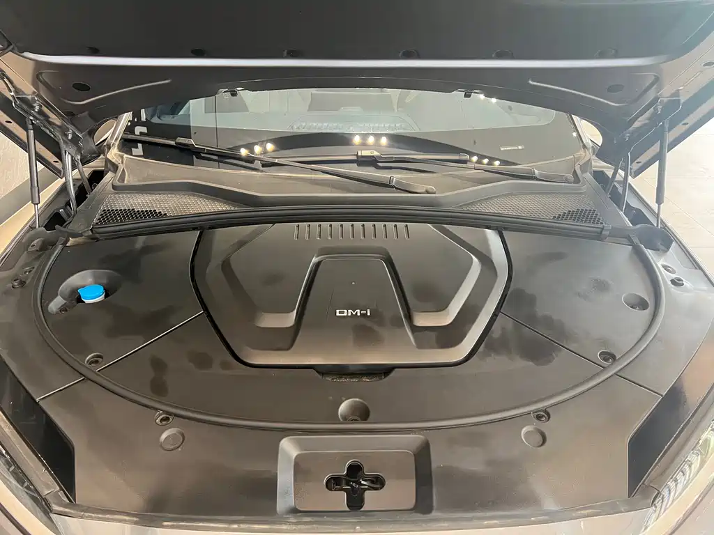 BYD SONGJIANG NEW ENERGY