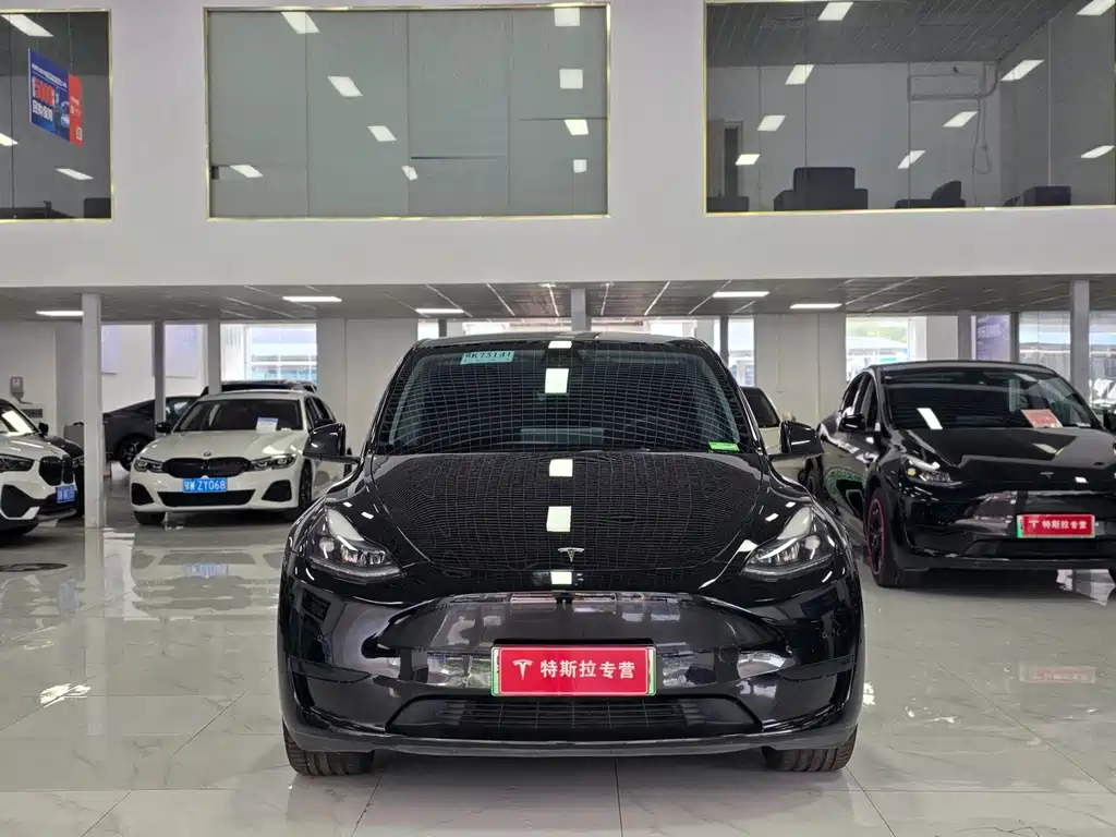 Tesla Model Y — миниатюра 2