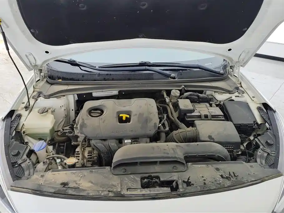 HYUNDAI NAME PICTURE