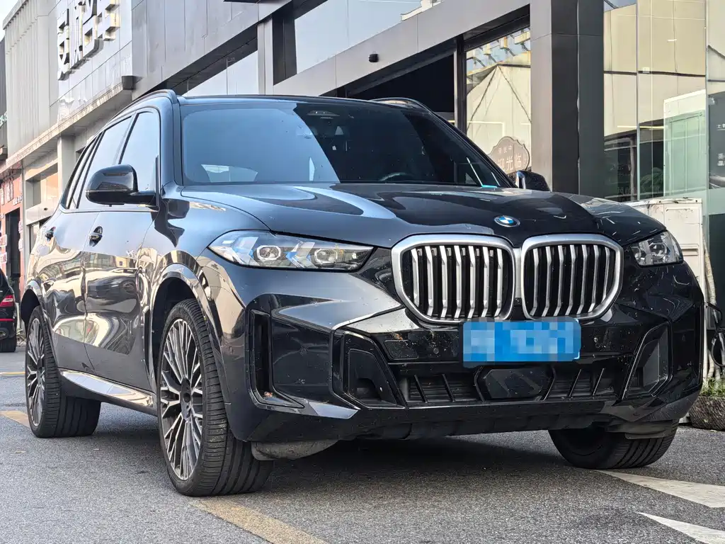 BMW X5 — миниатюра 3