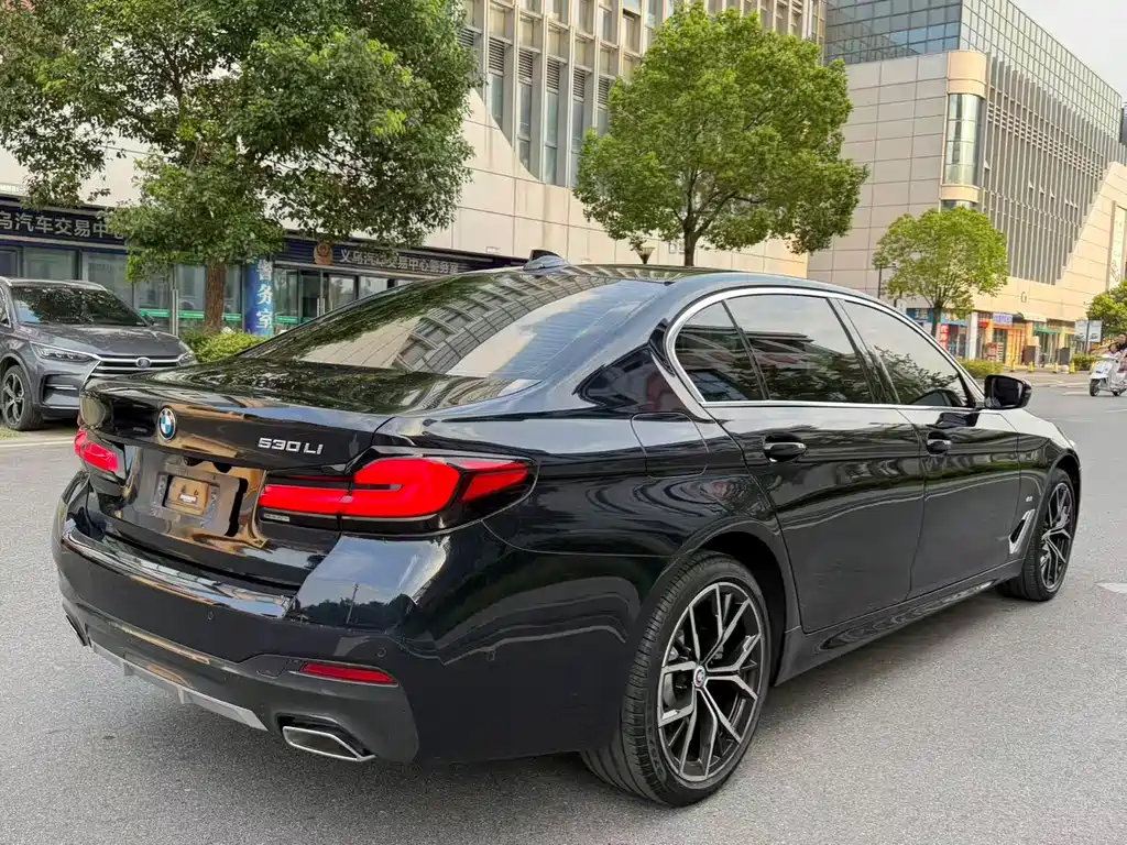 BMW 5 Series — миниатюра 18