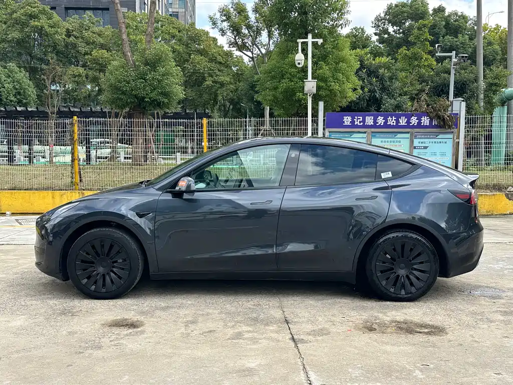 Tesla Model Y — миниатюра 2