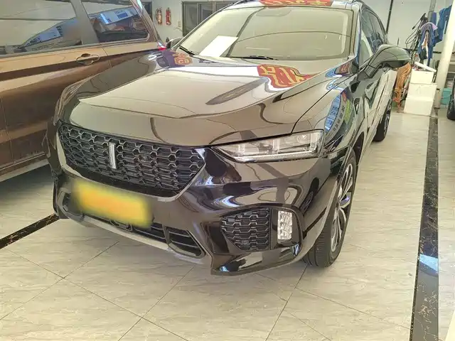 WEI PAI WEI BRAND VV7 2019