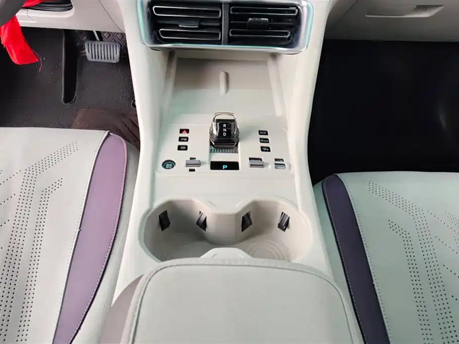 BYD SONGJIANG NEW ENERGY