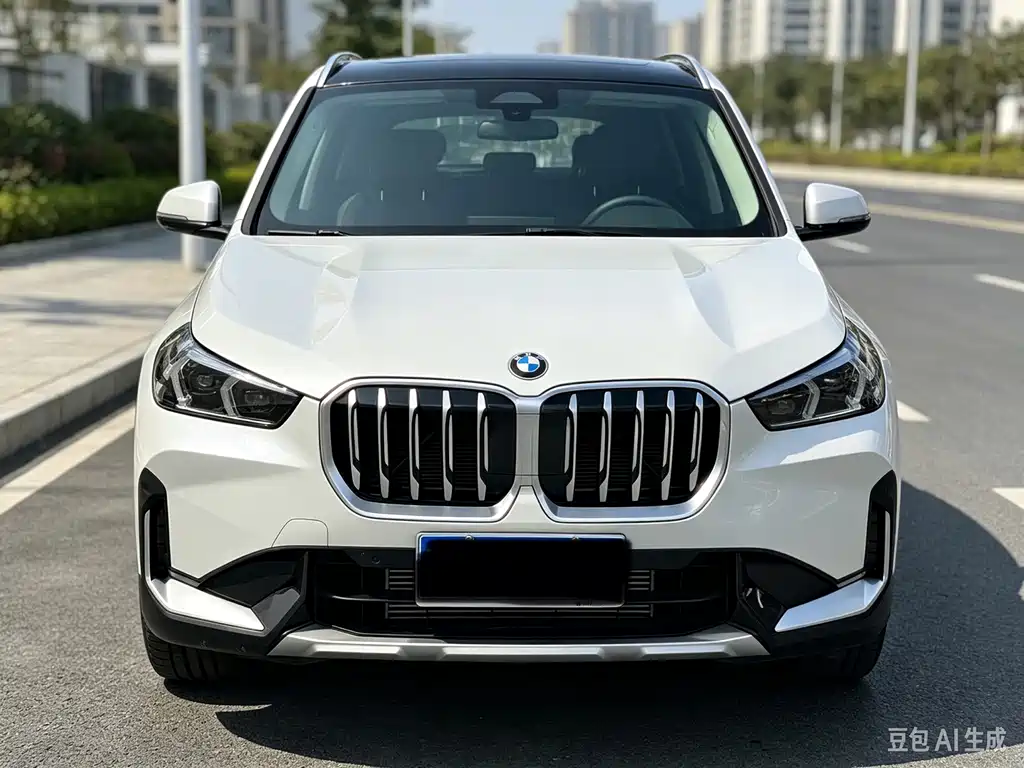BMW X1 — миниатюра 2