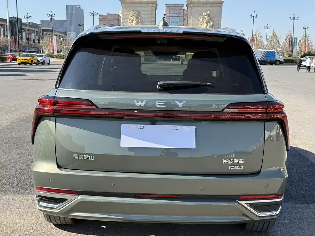 WEI PAI WEI BRAND BLUE MOUNTAIN