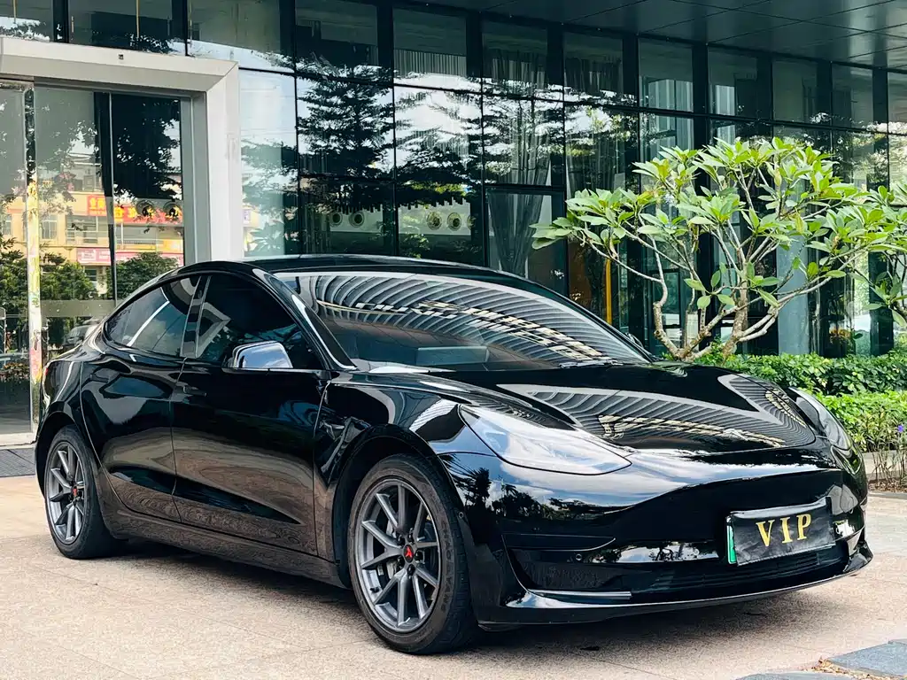 Tesla Model 3 — миниатюра 3