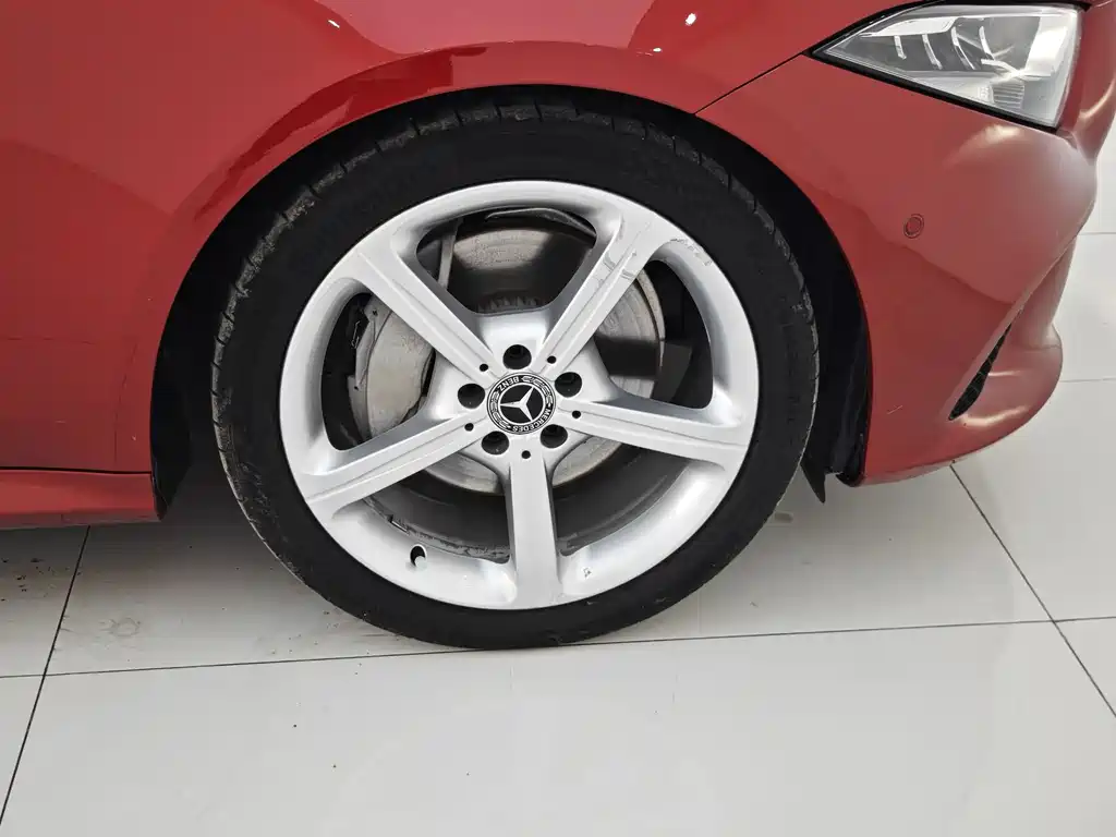 Mercedes-Benz CLS CLS 300 Dynamic Type, фото 27
