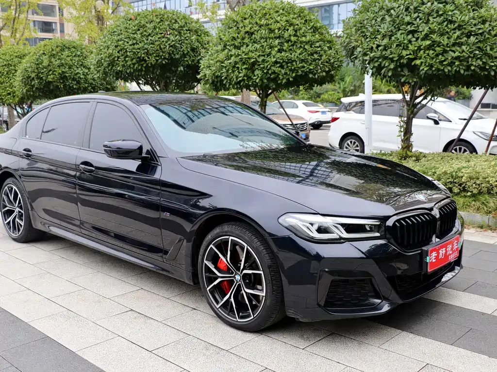 BMW 5 Series — миниатюра 2