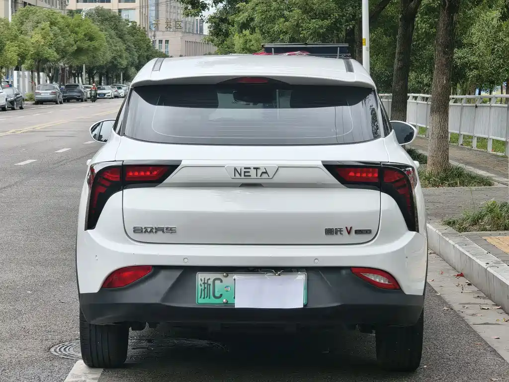 Neta Neta V — миниатюра 6
