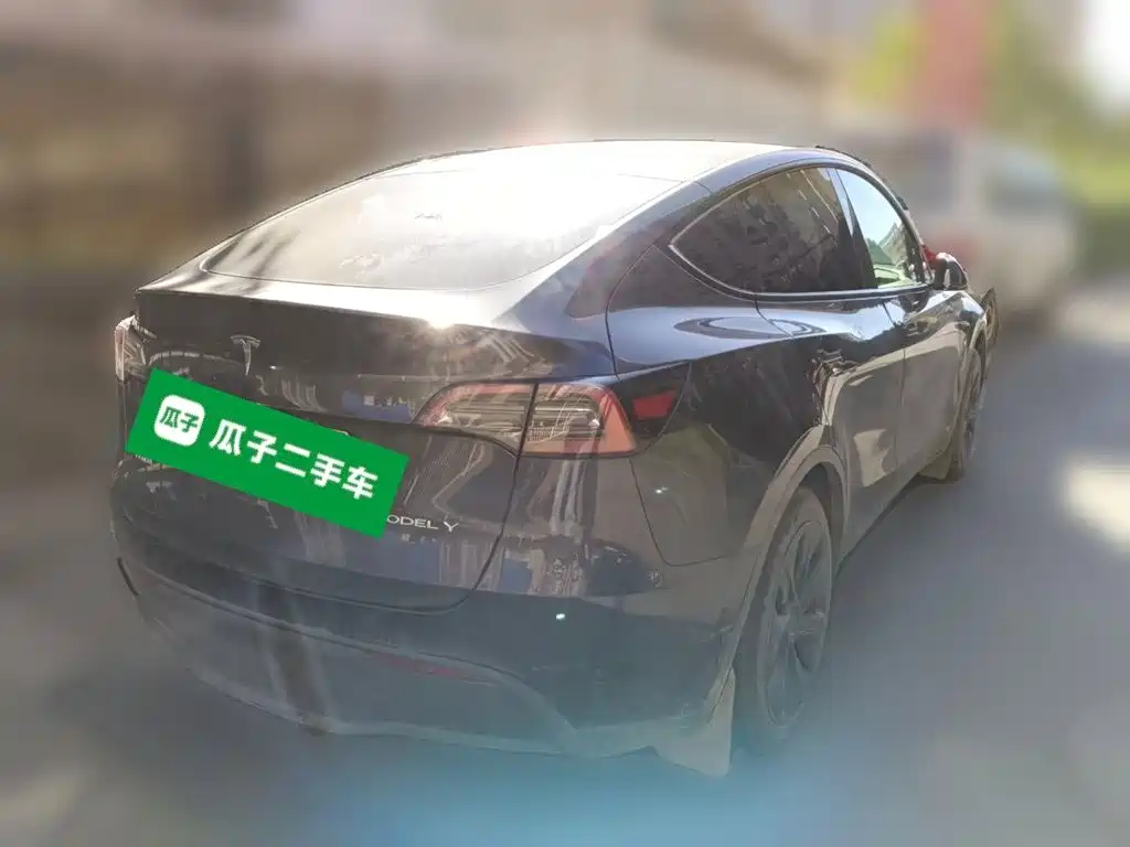 Tesla Model Y — миниатюра 4