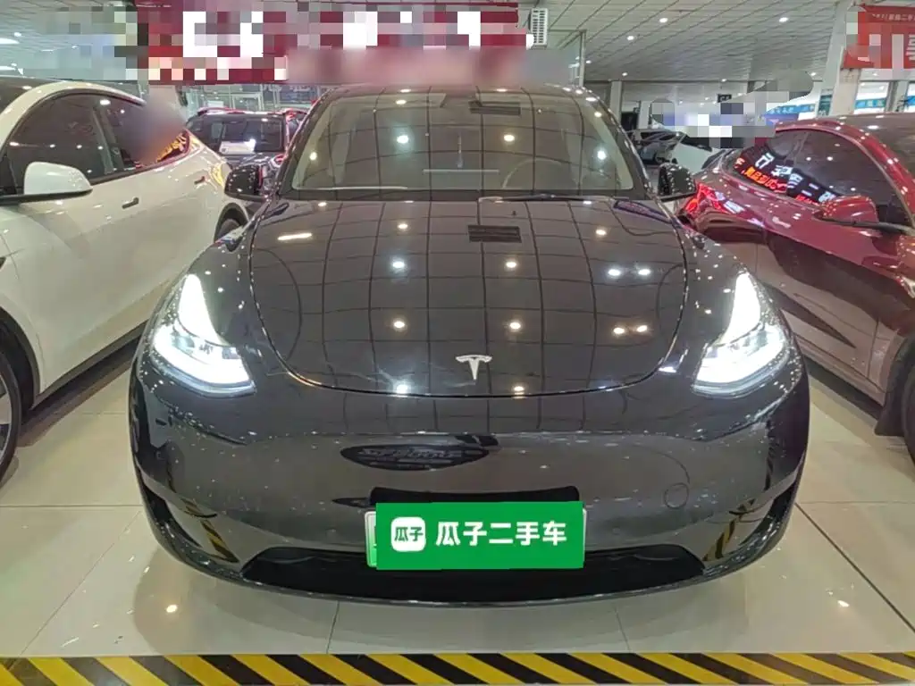 Tesla Model Y — миниатюра 3