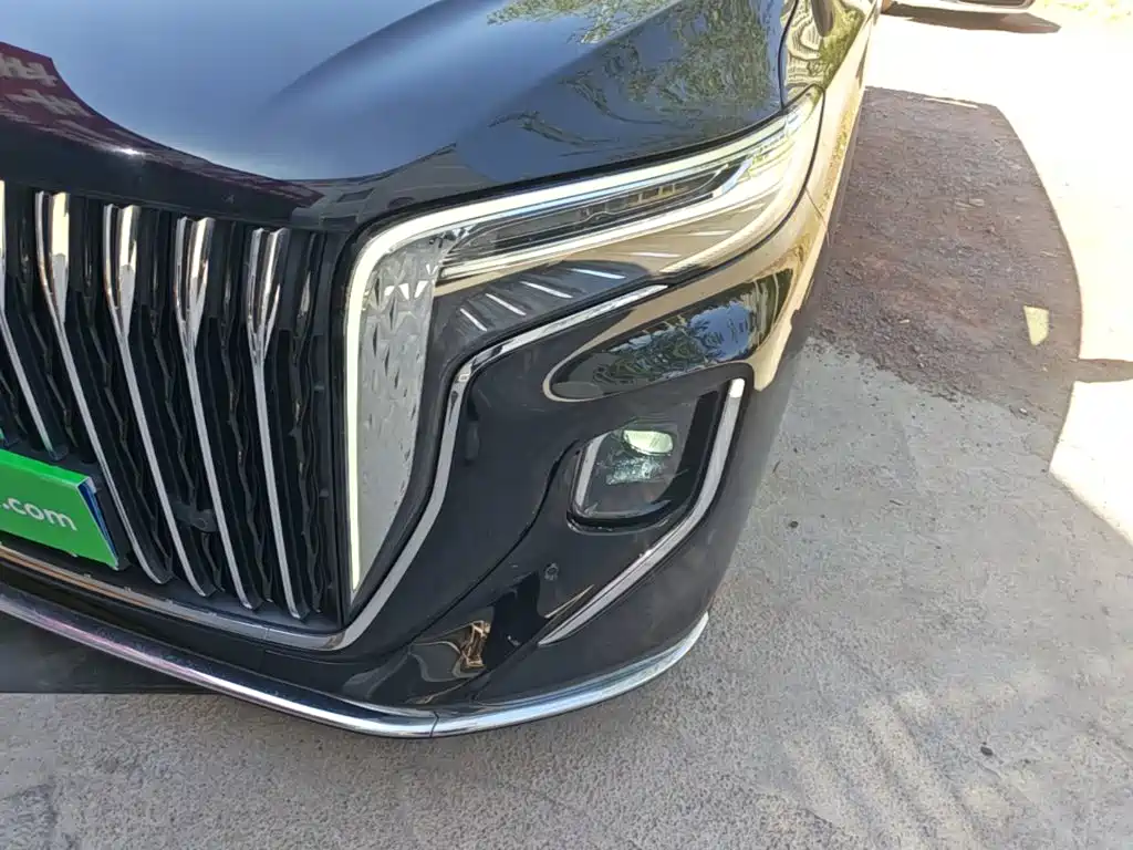 Hongqi Hongqi HQ9 — миниатюра 24