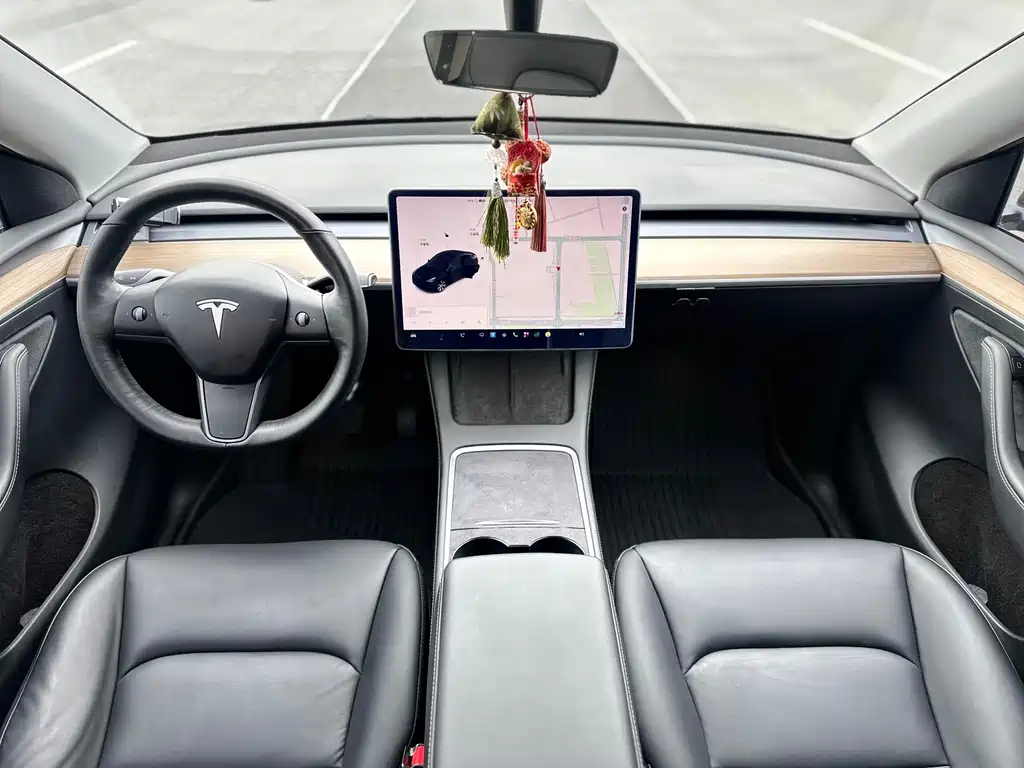 Tesla Model Y — миниатюра 10