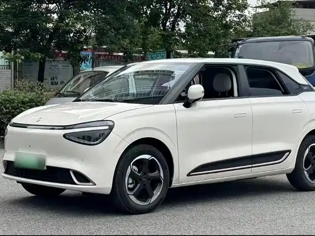 DONGFENG NANO 01 2024
