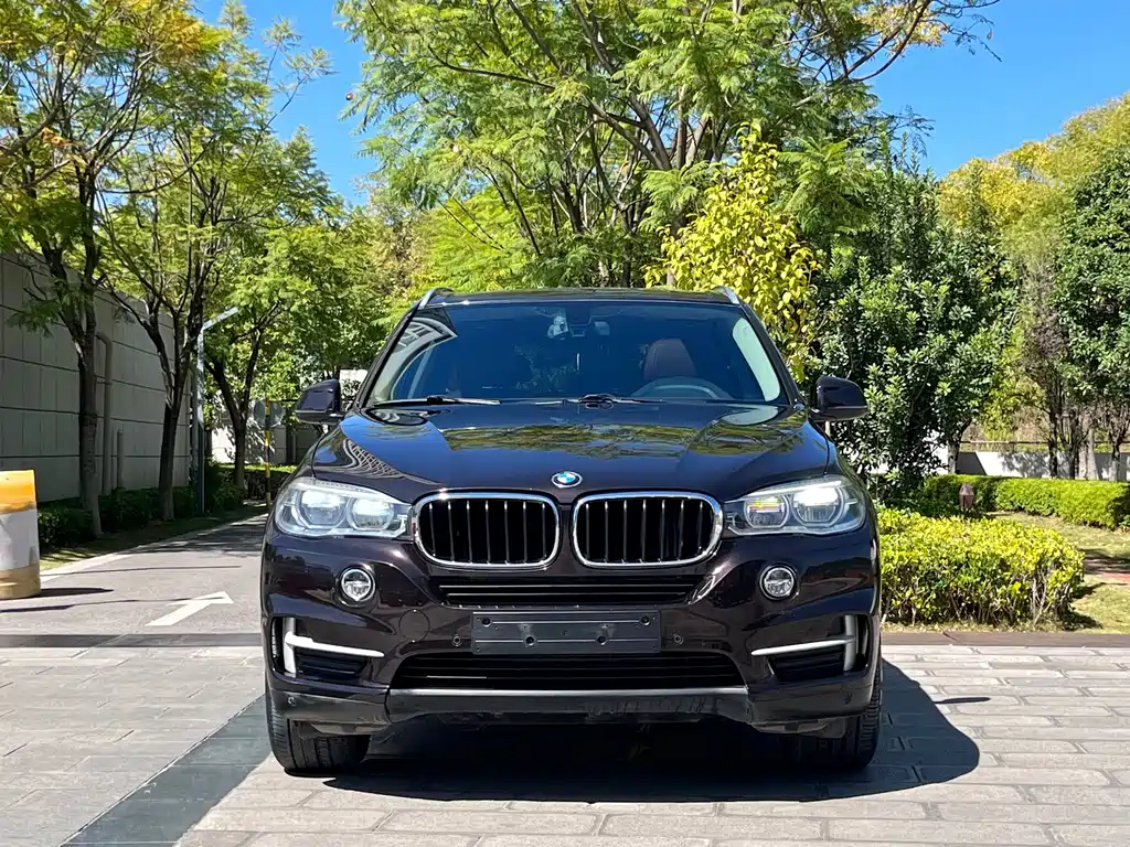 BMW X5 (Import) — миниатюра 2