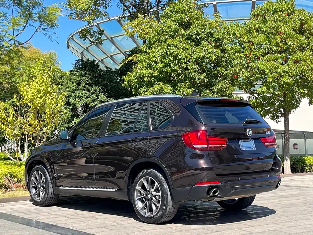 BMW X5 (Import) — миниатюра 9