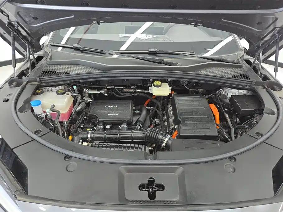 BYD SONGJIANG NEW ENERGY