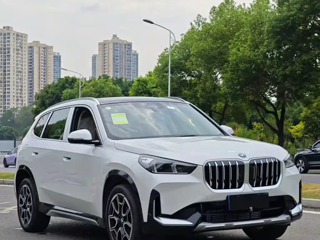 BMW X1 — миниатюра 3