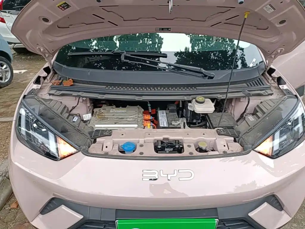 BYD Seagull — миниатюра 20