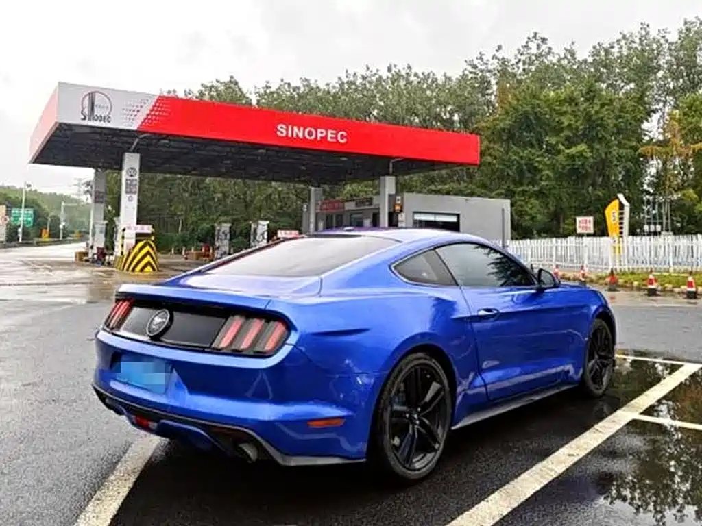 Ford Mustang — миниатюра 3